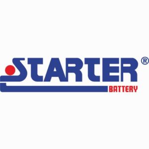 STARTER TRUCK BATTERIES