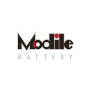 2V MODILE TRACTION BATTERIES